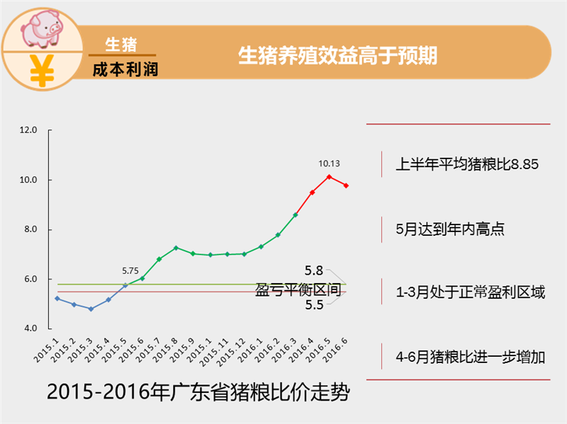 图片20_副本.png