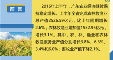 2016年广东省主要农产品生产供应情况