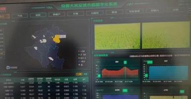 贵州日报：AI赋能稻米全产业链 安顺水稻种上“云端”