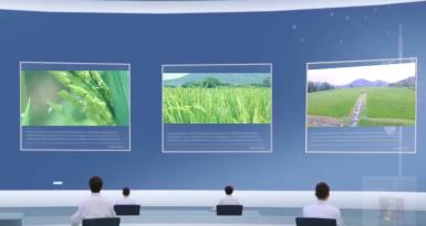 赵春江院士：加快信息技术应用，拉动农业农村数字经济引擎