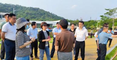梅州市自然资源局考察艾米稻香小镇土地整理成果