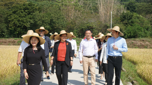 广州市黎明副市长调研艾米稻香小镇生态数字农田建设情况