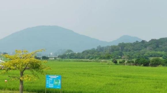 信息时报 | 艾米稻香小镇：5G技术种水稻 农民增收产业提质